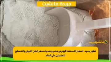 تطور جديد.. أسعار الأسمنت اليوم في مصر وتحديث سعر الطن الأبيض والمسلح للمقبلين على البناء 1